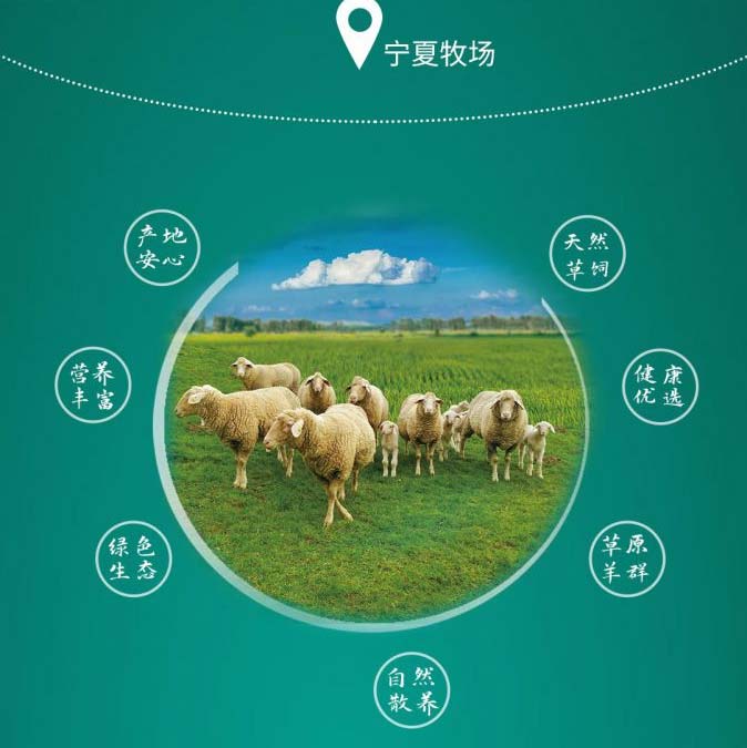 698型礼盒/券