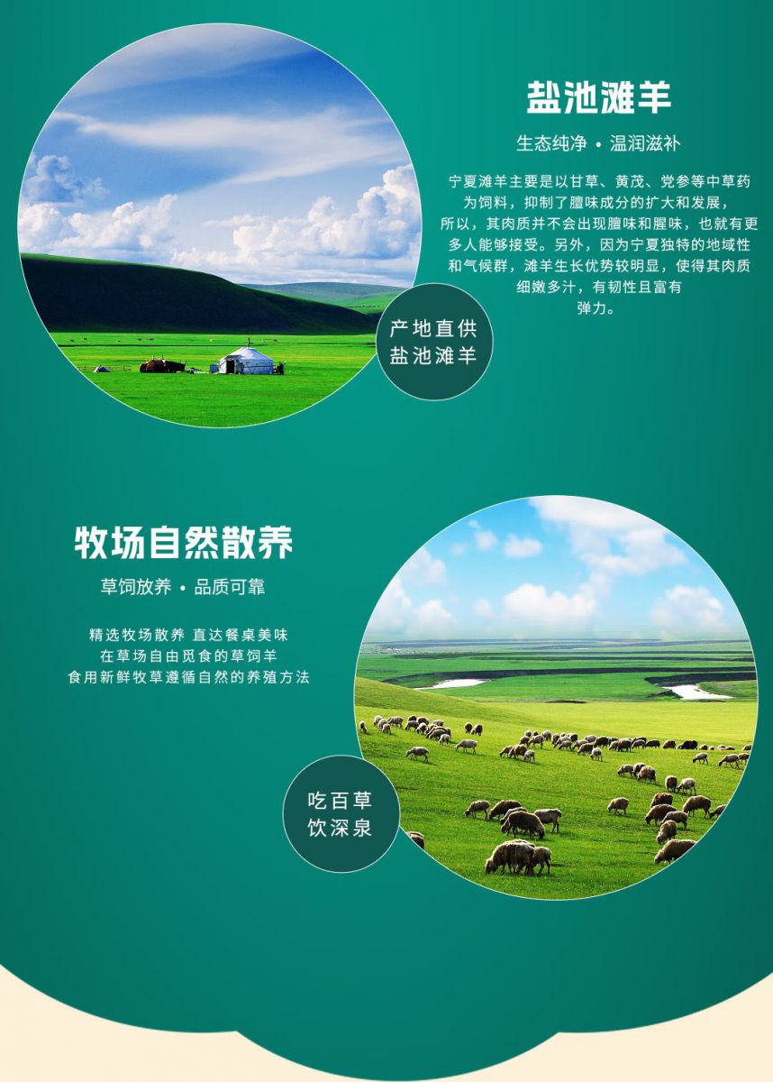 698型礼盒/券