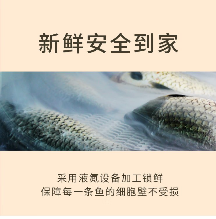 1598型礼盒/券