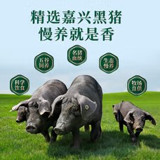 黑猪肉B款 缩略图