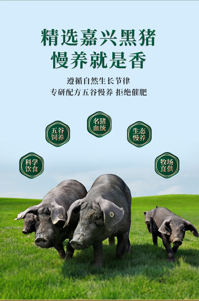 黑猪肉B款