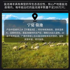 B款 缩略图