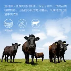 礼盒D款 缩略图