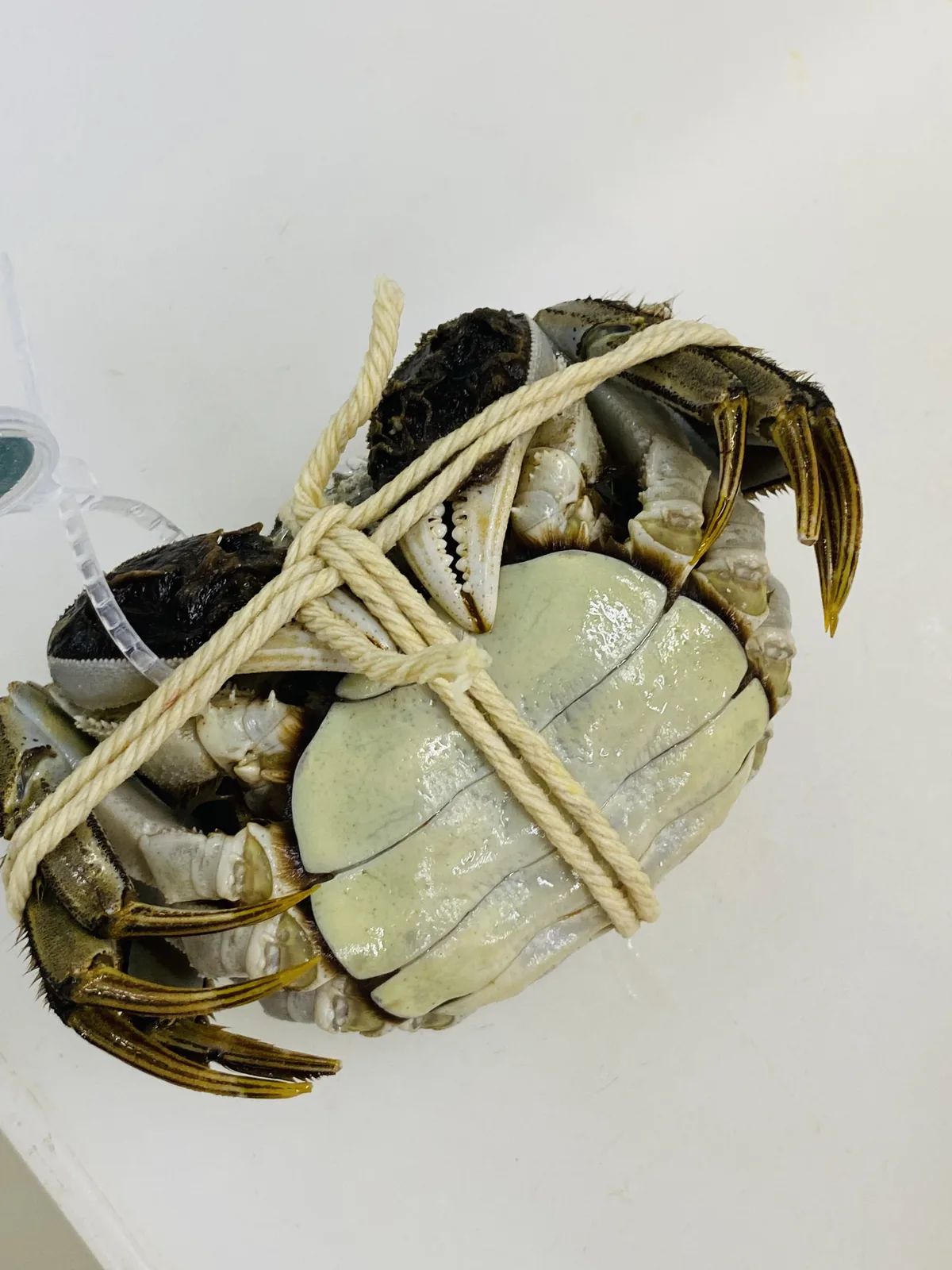 门店活蟹现货，到店可上手挑选活力度
