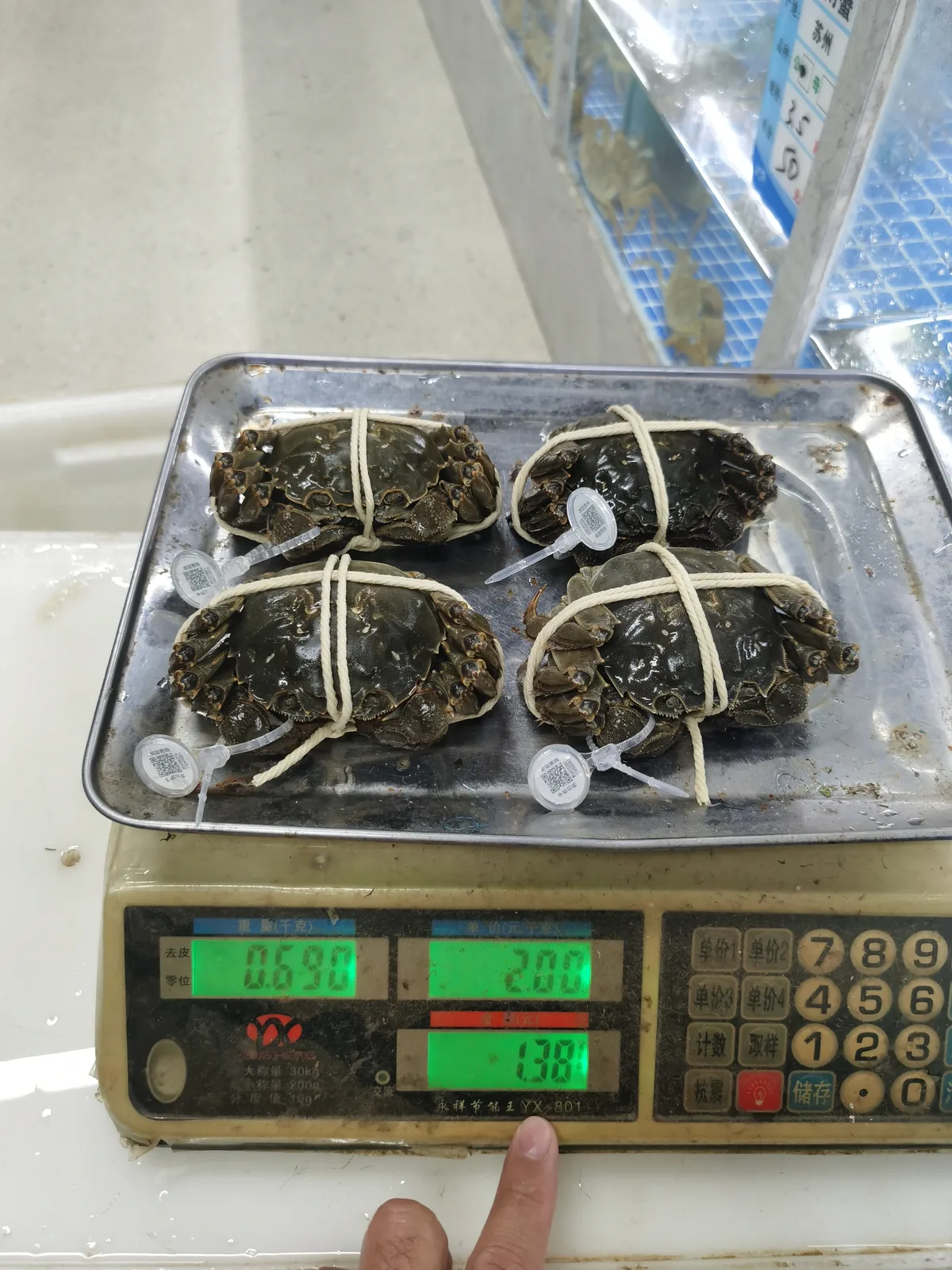 门店电子秤实拍，称重大闸蟹使用